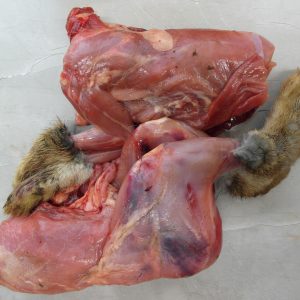 Skinned Wild Rabbit - Whole