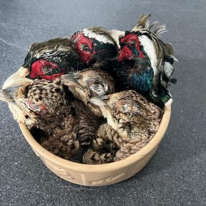 Pheasant Heads - 6 to Pack